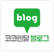 코코렌탈 블로그